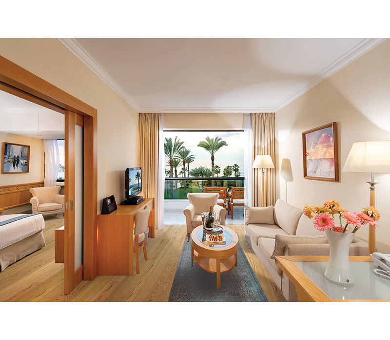 53 ASIMINA SUITES HOTEL SUPERIOR ONE BEDROOM SUITE SV