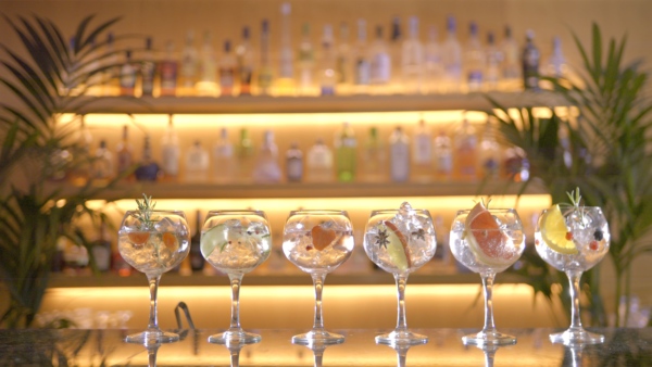 74 ASIMINA SUITES HOTEL GIN TASTING