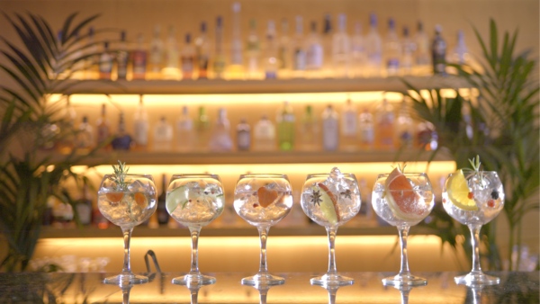 74 ASIMINA SUITES HOTEL GIN TASTING